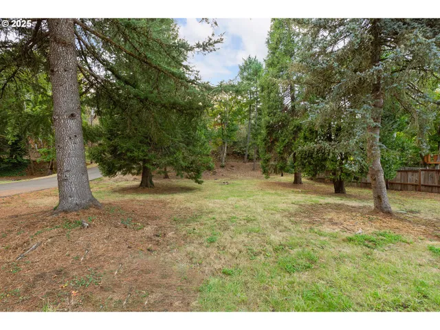 a view of outdoor space with trees