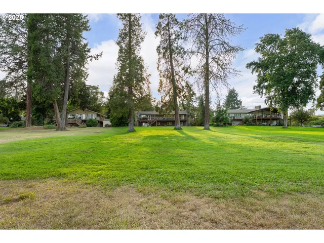 a view of a park with large trees
