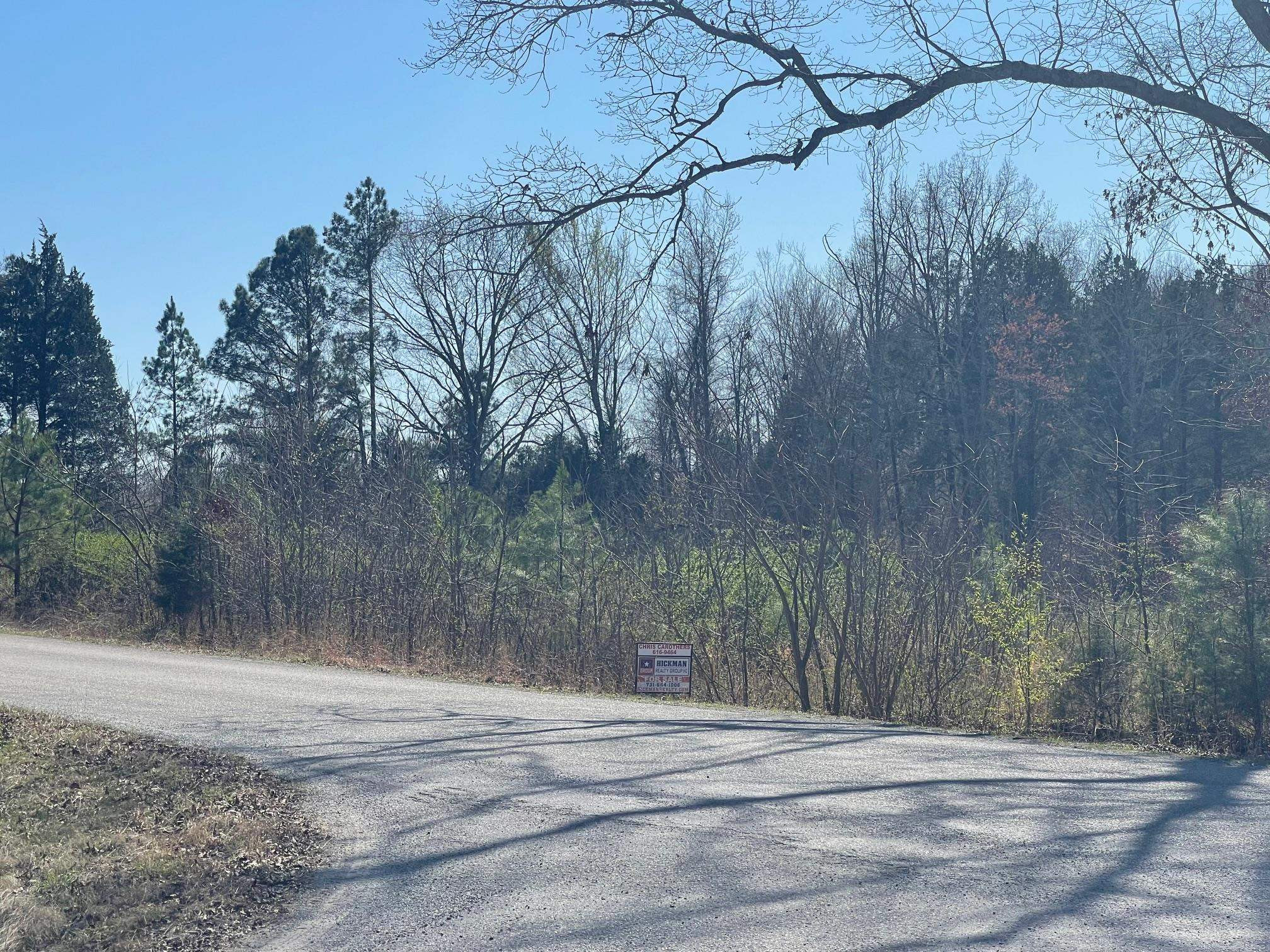 0 Tige Hopper Road Jackson, TN 38305 - Photo 2 of 3 a view of a backyard of a house