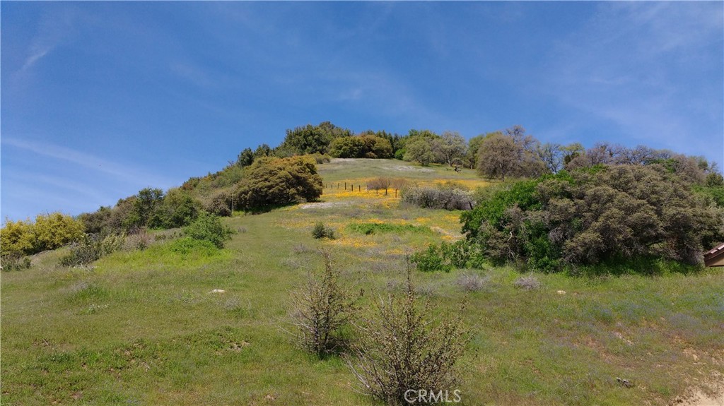 44981 Todd Eymann Road Dunlap, CA 93621 - Photo 48 of 74