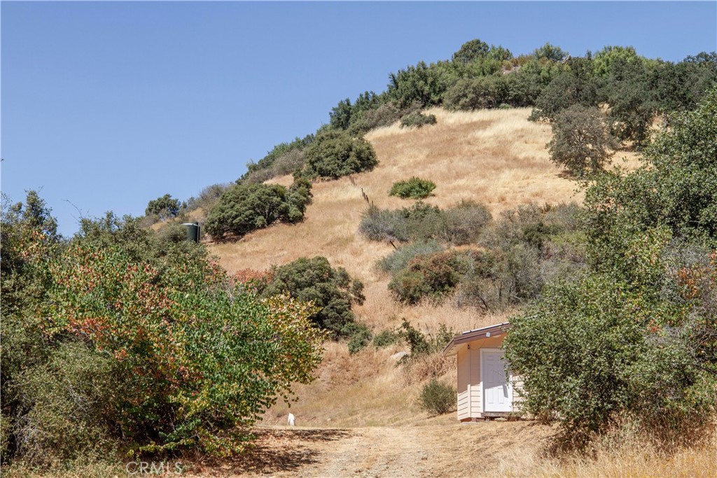 44981 Todd Eymann Road Dunlap, CA 93621 - Photo 50 of 74 a view of a yard with a tree