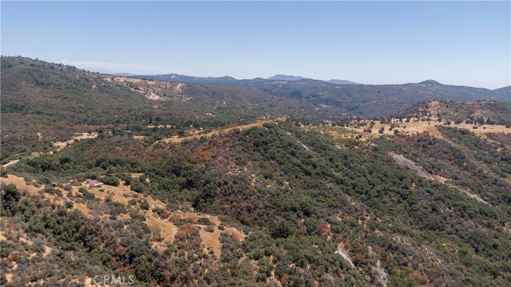 44981 Todd Eymann Road Dunlap, CA 93621 - Photo 55 of 74 a view of a large tree in a field