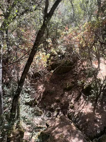 $465,000 | 44981 Todd Eymann Road, Dunlap, CA 93621