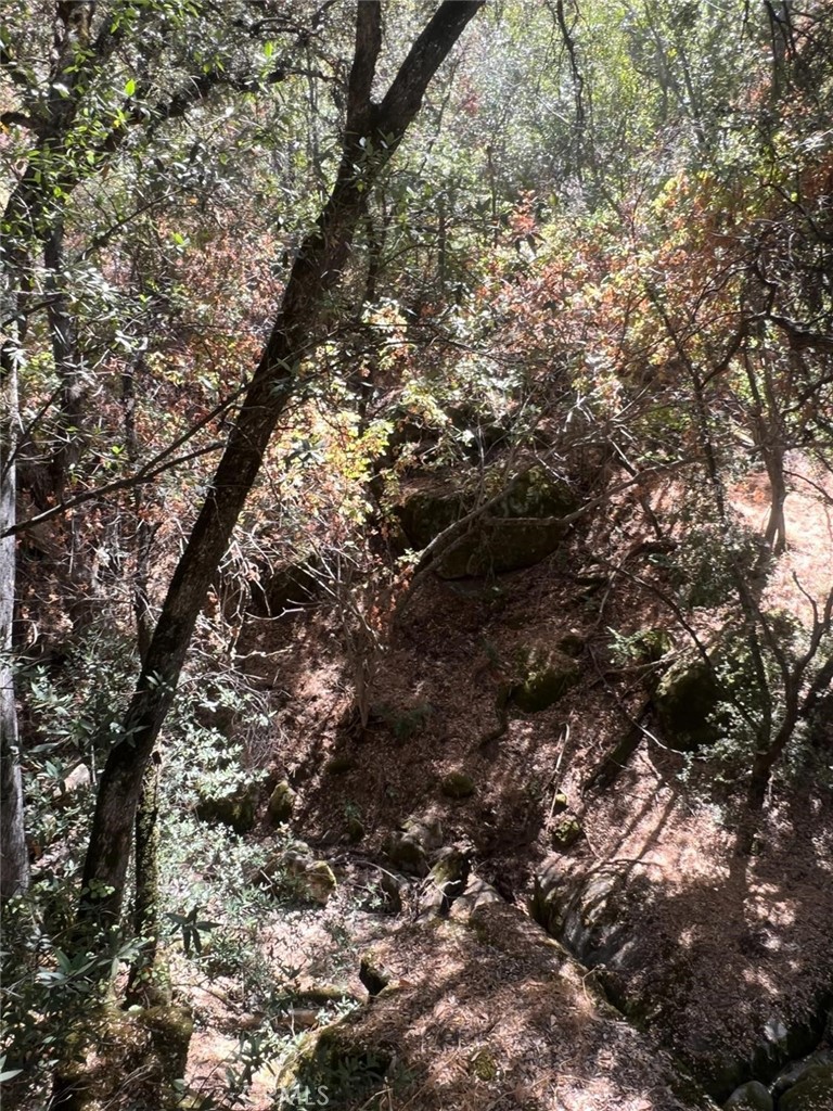 44981 Todd Eymann Road Dunlap, CA 93621 - Photo 60 of 74