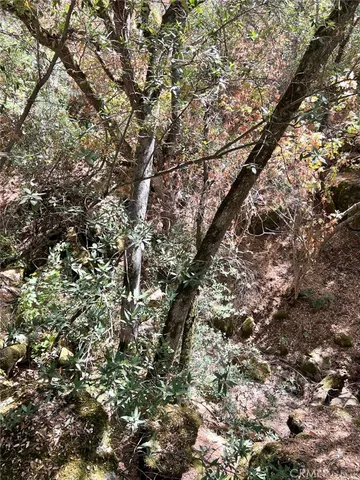 $465,000 | 44981 Todd Eymann Road, Dunlap, CA 93621