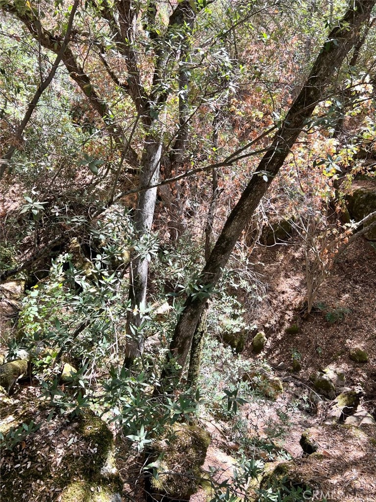 44981 Todd Eymann Road Dunlap, CA 93621 - Photo 63 of 74 a view of a city with lush green space