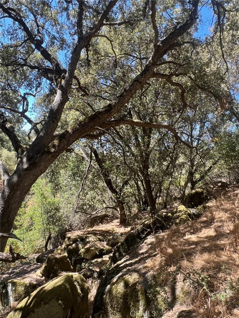 44981 Todd Eymann Road Dunlap, CA 93621 - Photo 64 of 74