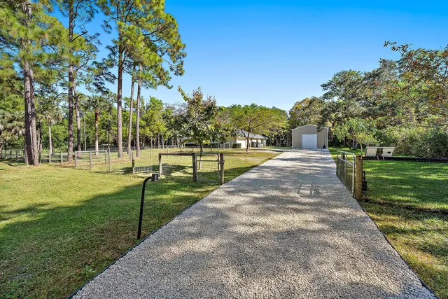 a park with lots of trees and plants