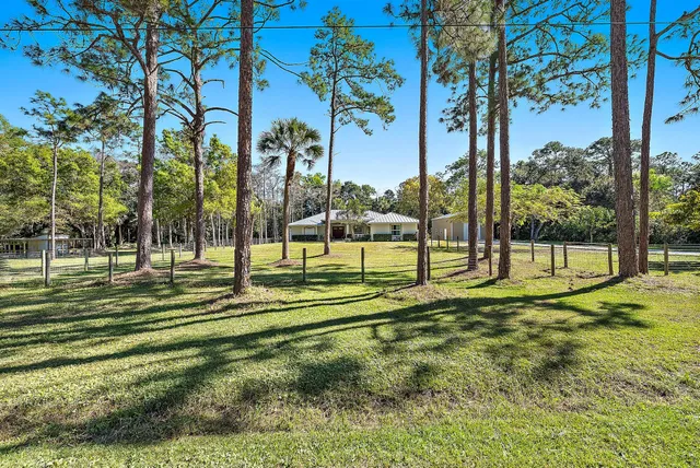 an aerial view of residential houses with outdoor space and trees