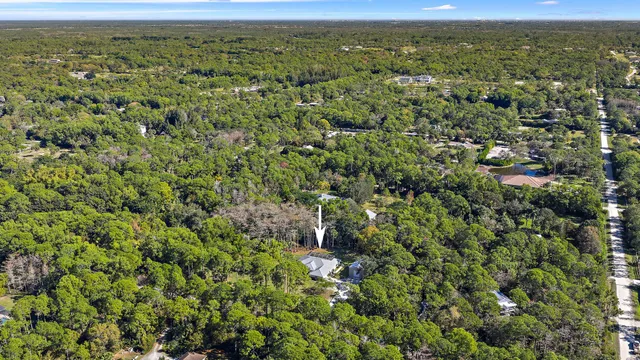 a view of a house with a tree