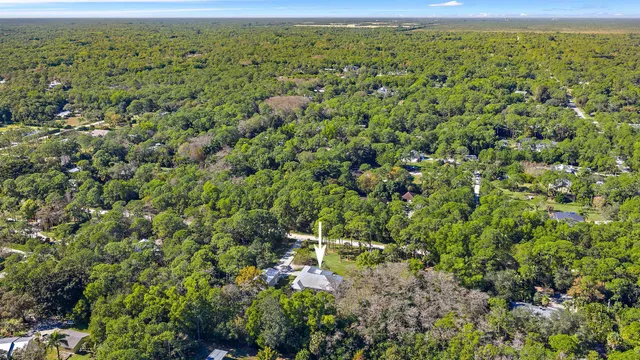 a view of a park with large trees