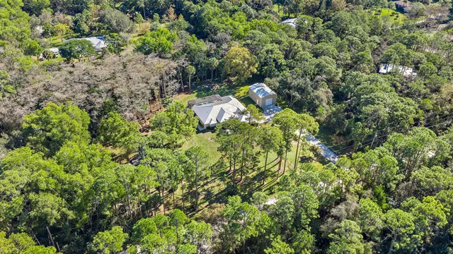 a view of a park with large trees