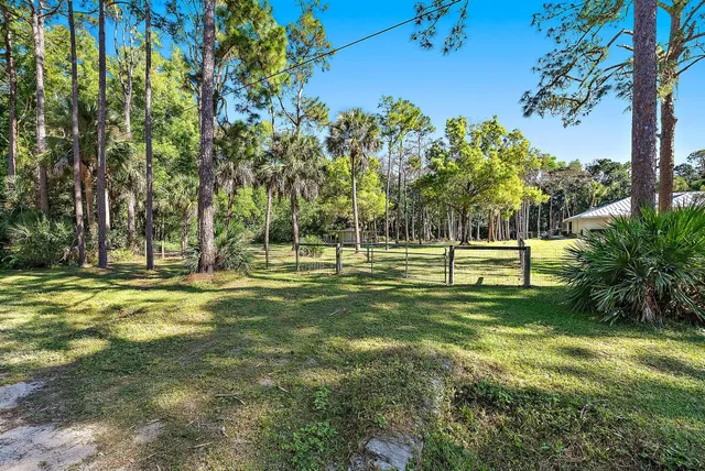 a view of a park with large trees