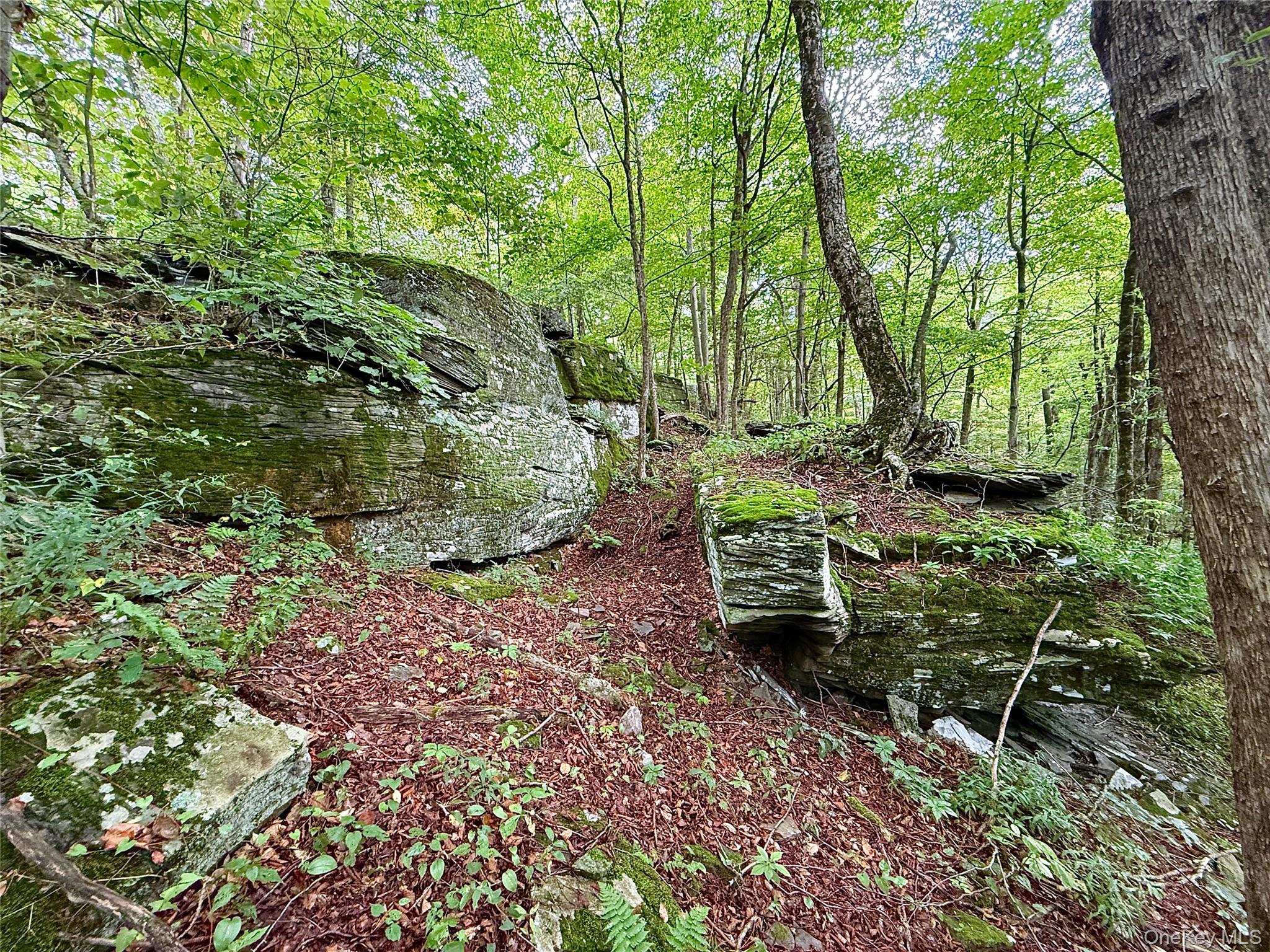 216 Neer Road Long Eddy, NY 12760 - Photo 30 of 48