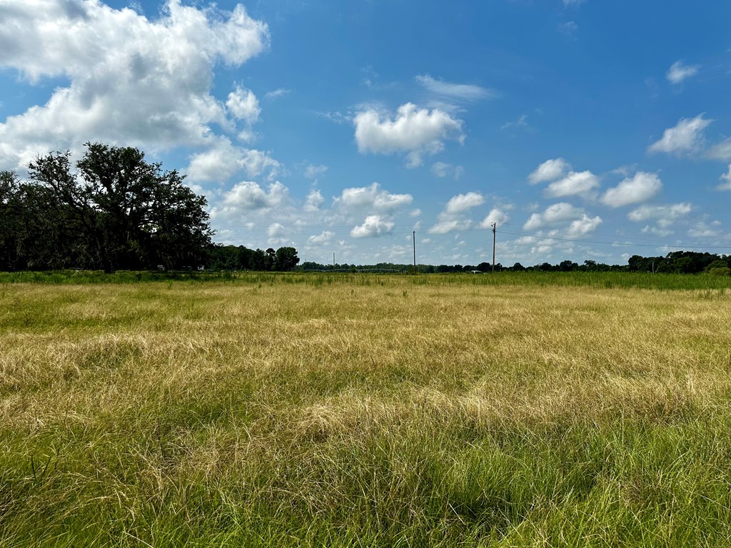 11.05-acres Ramer Loop Cottonwood, AL 36320 - Photo 12 of 17
