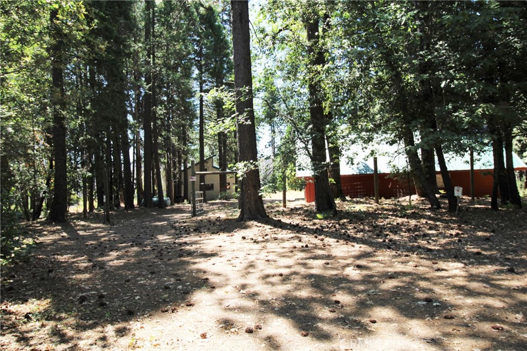 268 Milsap Bar Road Berry Creek, CA 95916 - Photo 37 of 47 a view of a tree in the middle of a yard