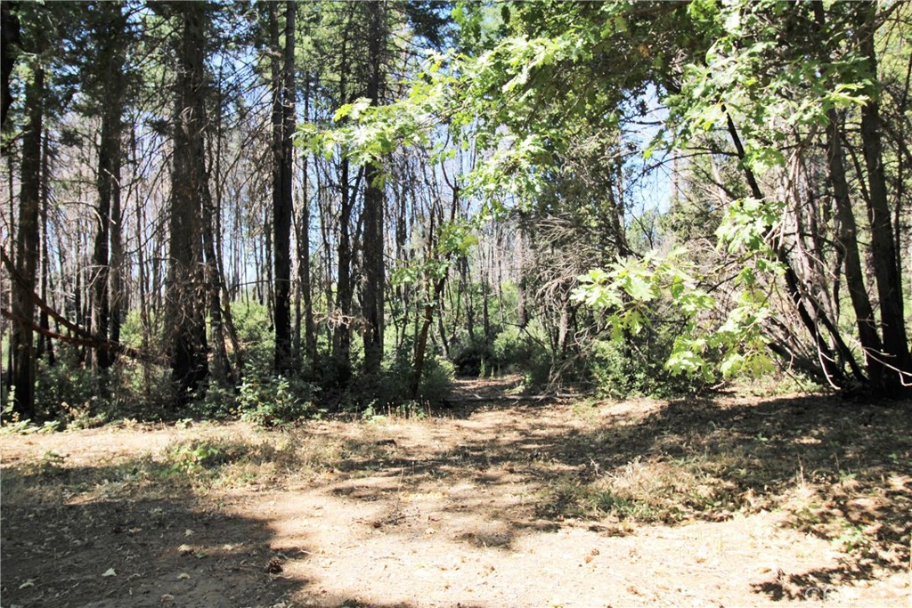 268 Milsap Bar Road Berry Creek, CA 95916 - Photo 38 of 47 a view of wooden fence and trees