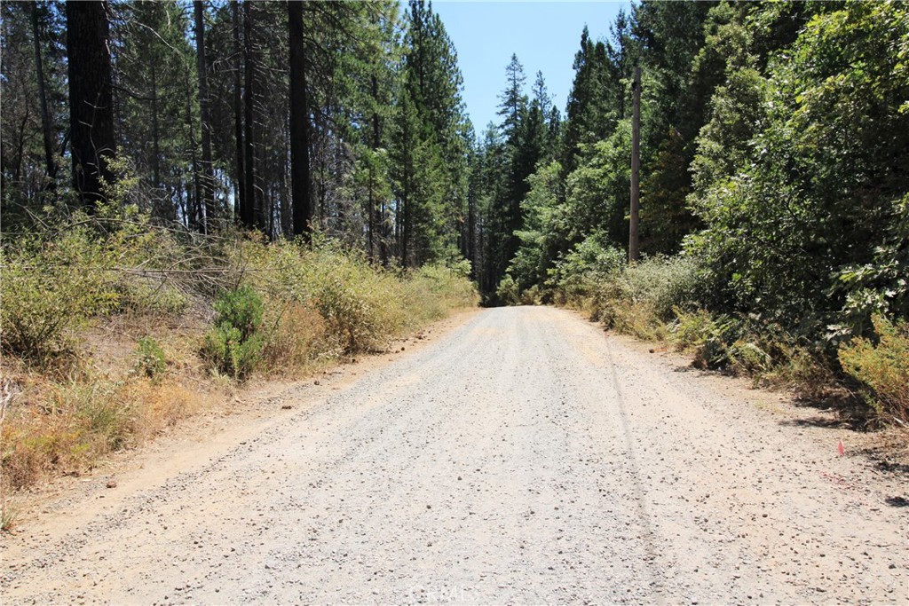 268 Milsap Bar Road Berry Creek, CA 95916 - Photo 46 of 47 a view of white house covered in forest