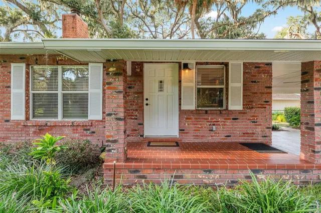 a view of a garden with plants