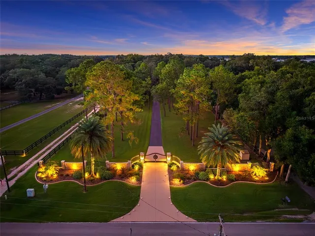 a view of a park with tree s