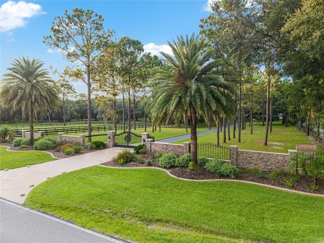 a view of a house with a big yard plants and large trees