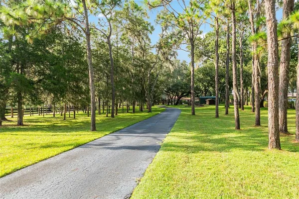 a view of a park with large trees