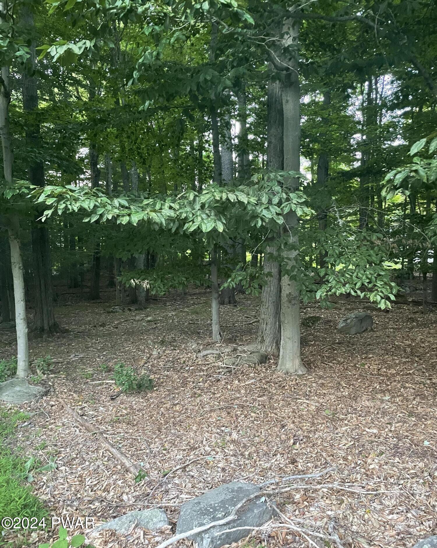 3 Deer Valley Road Lake Ariel, PA 18436 - Photo 2 of 25