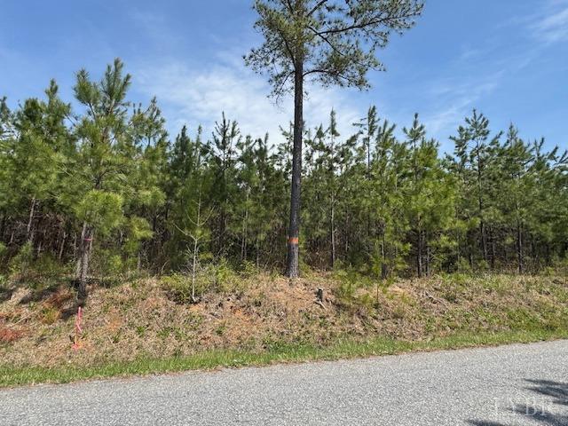 4 Stage Road Concord, VA 24538 - Photo 1 of 8 a view of a yard