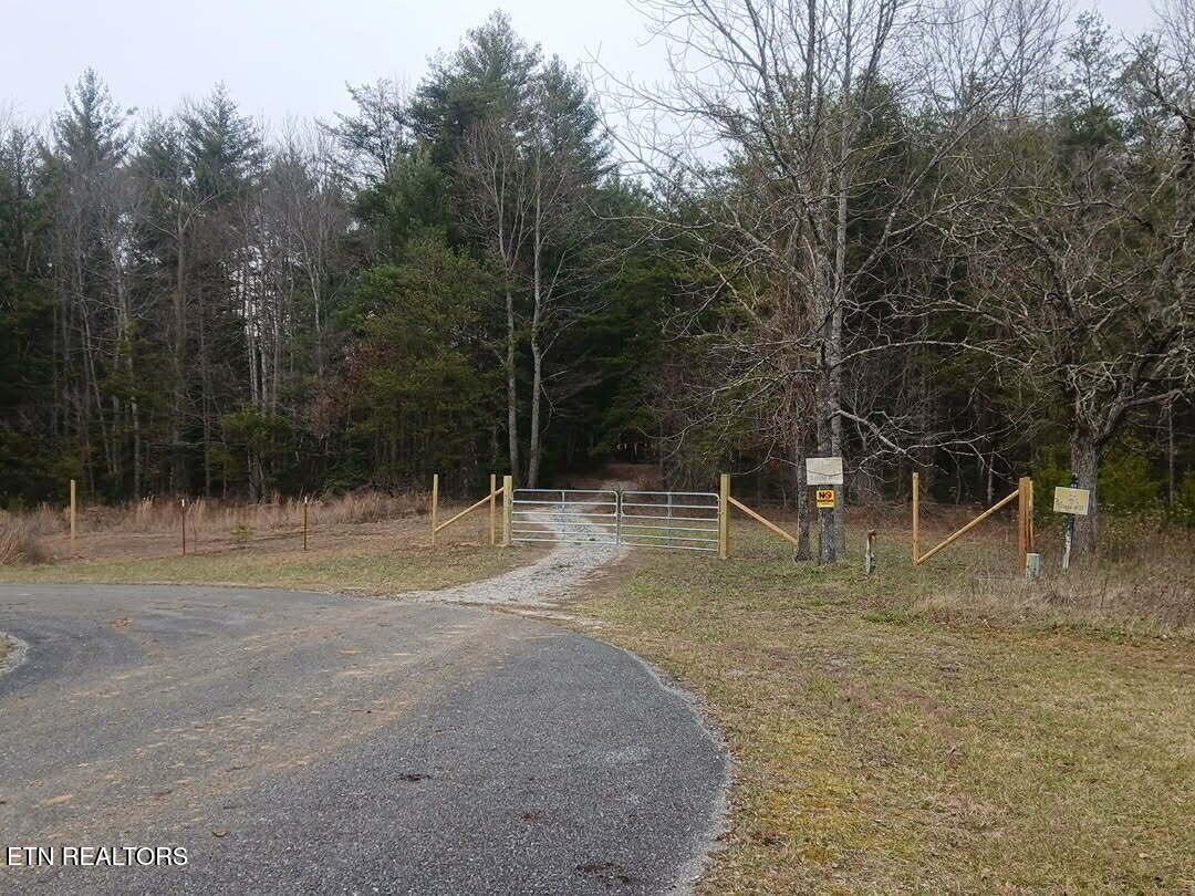 Magnolia Court Jamestown, TN 38556 - Photo 1 of 27 24f72076-6cd2-4a45-a3bc-1e9e43152d35