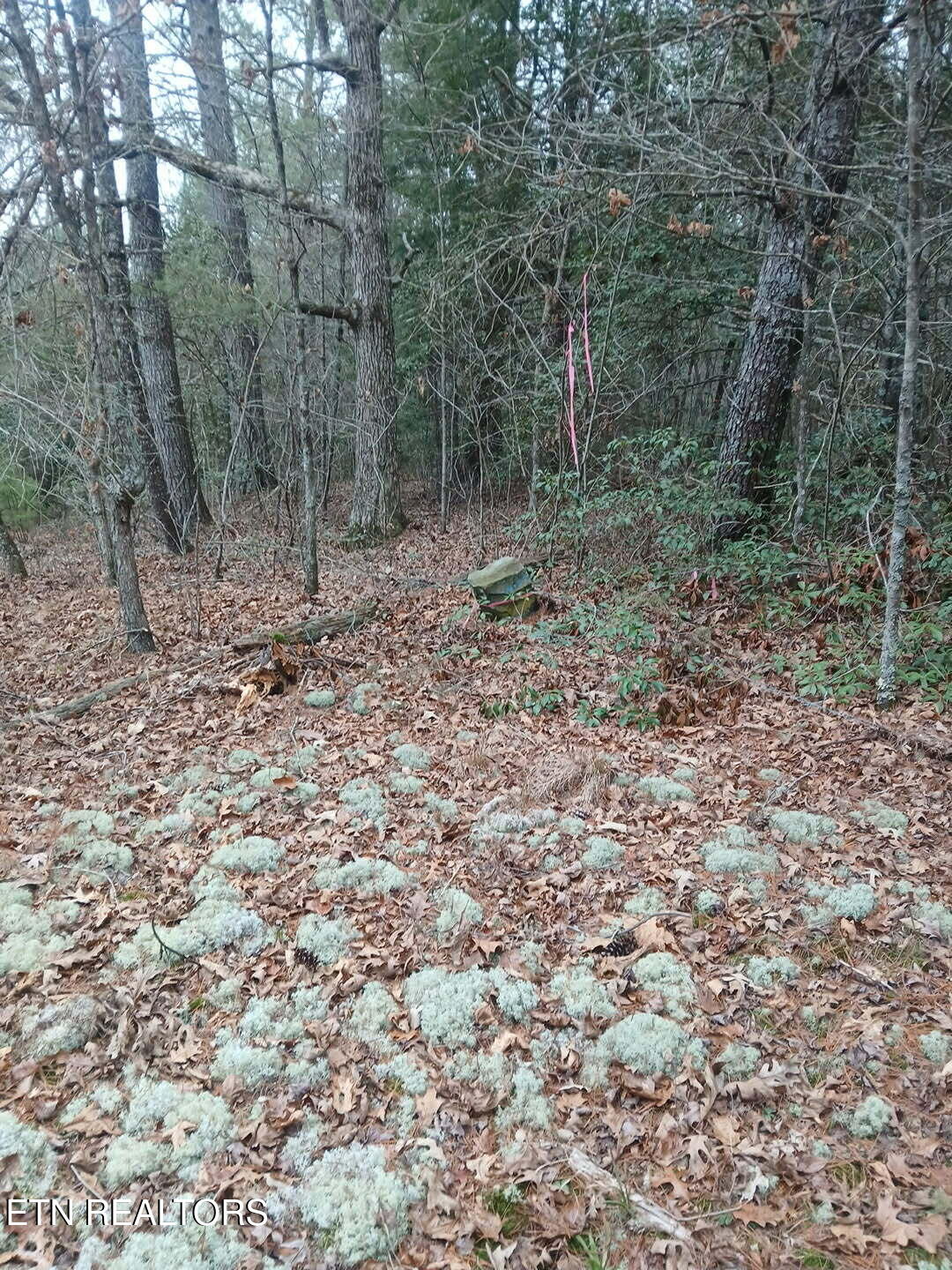 Magnolia Court Jamestown, TN 38556 - Photo 16 of 27 94bf6090-6502-457a-9431-14d638ee47bc
