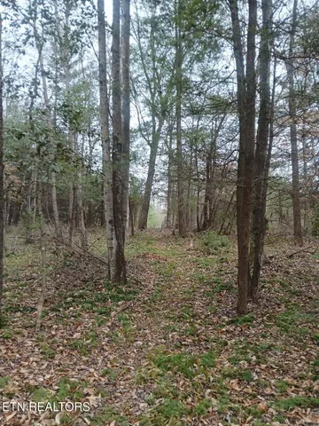 $84,900 | Magnolia Court, Jamestown, TN 38556