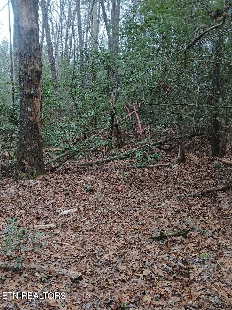 Magnolia Court Jamestown, TN 38556 - Photo 23 of 27 bda2367d-a22c-4c0a-a88f-eb02c5d41654