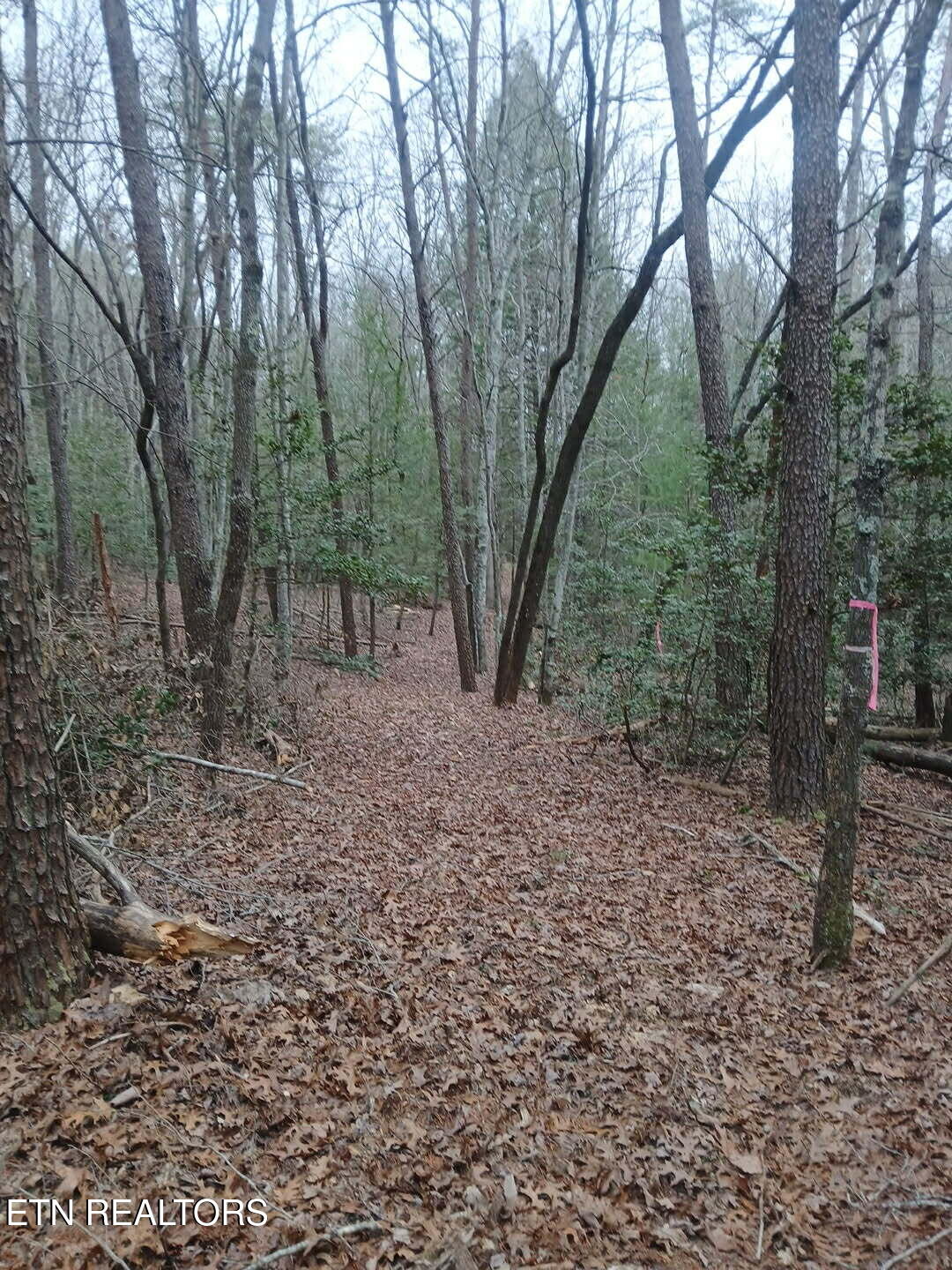 Magnolia Court Jamestown, TN 38556 - Photo 25 of 27 d6857aef-b19e-4cdb-aa10-b33cec05f31b