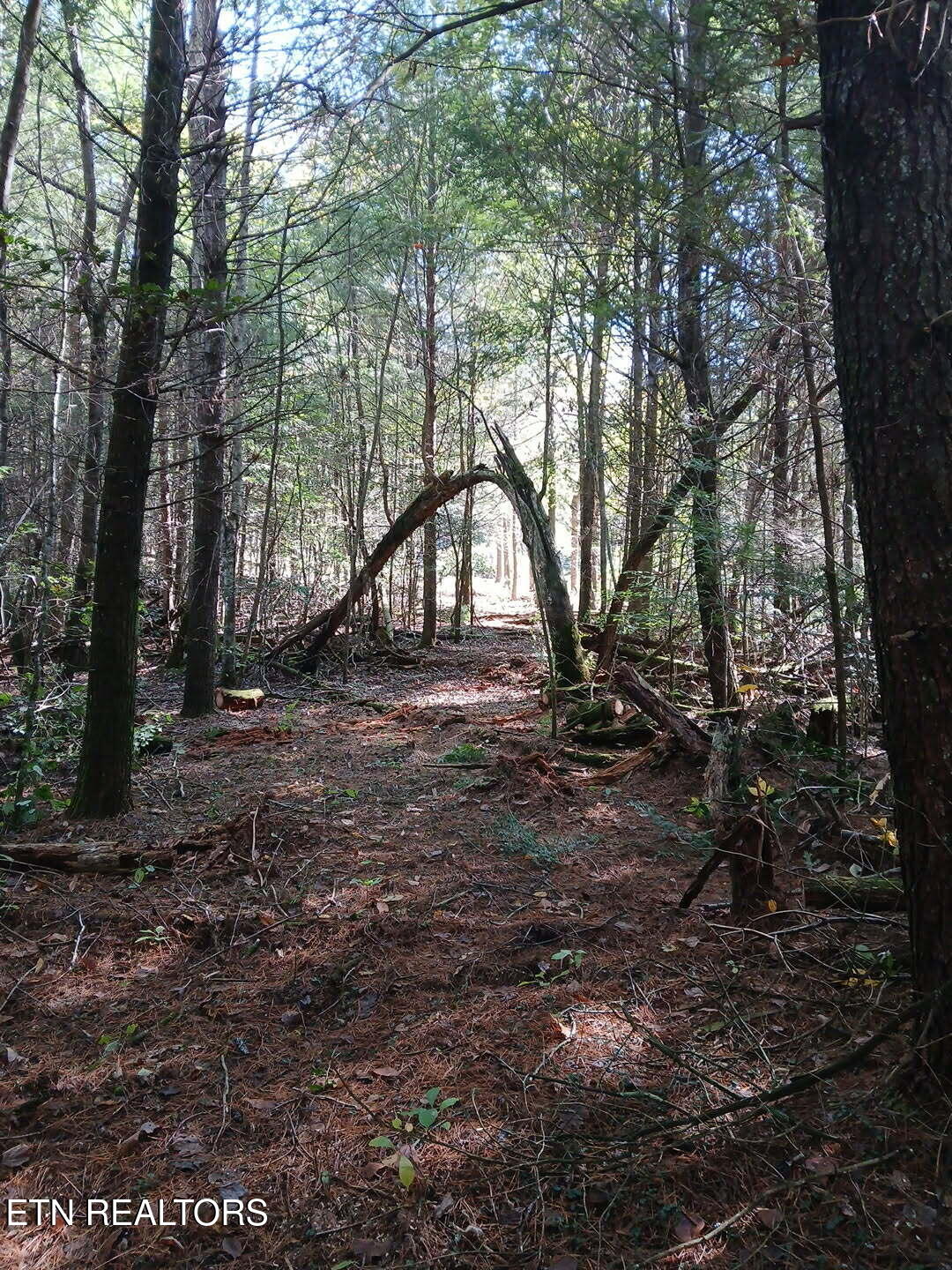 Magnolia Court Jamestown, TN 38556 - Photo 27 of 27 94875000-1cbc-4a77-95ad-c3a84b6357c6