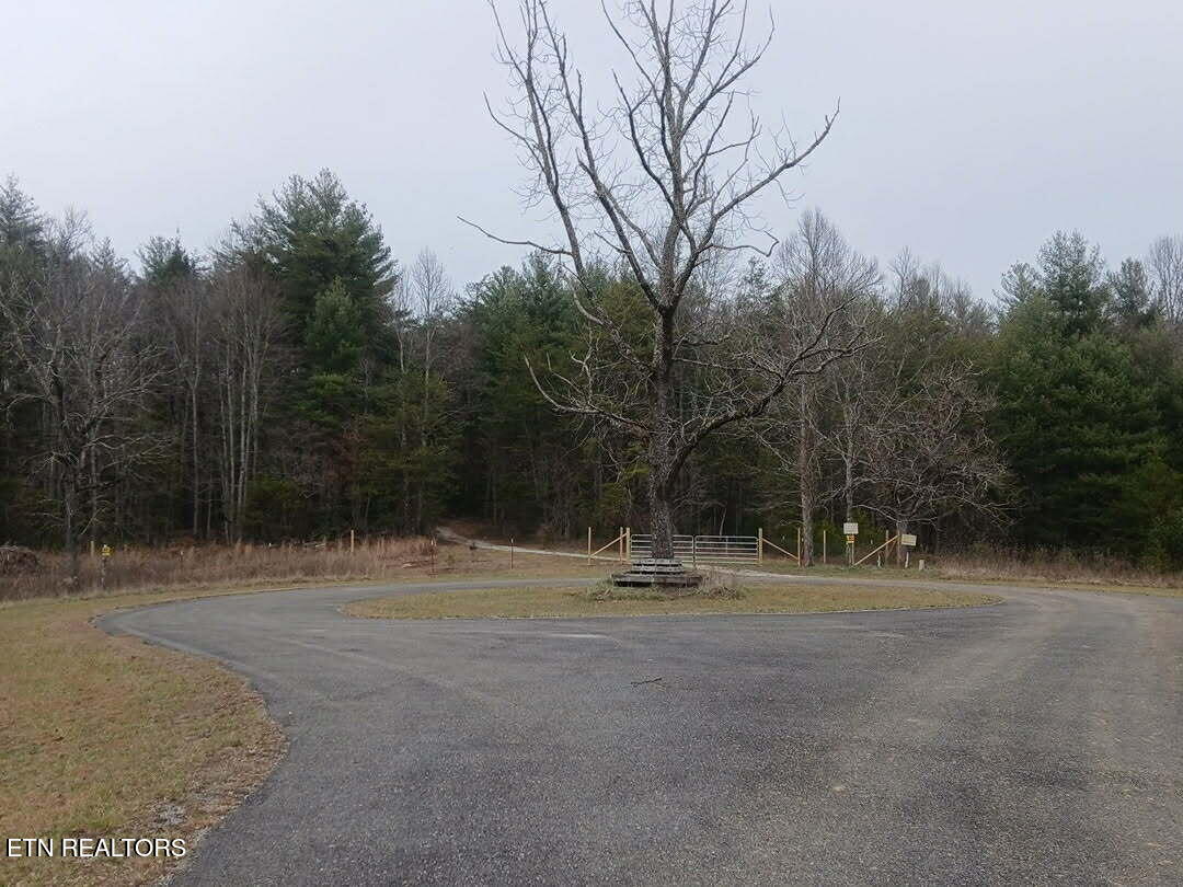 Magnolia Court Jamestown, TN 38556 - Photo 3 of 27 8798f9a0-e2bf-423e-8de8-6bdf2f9060bf