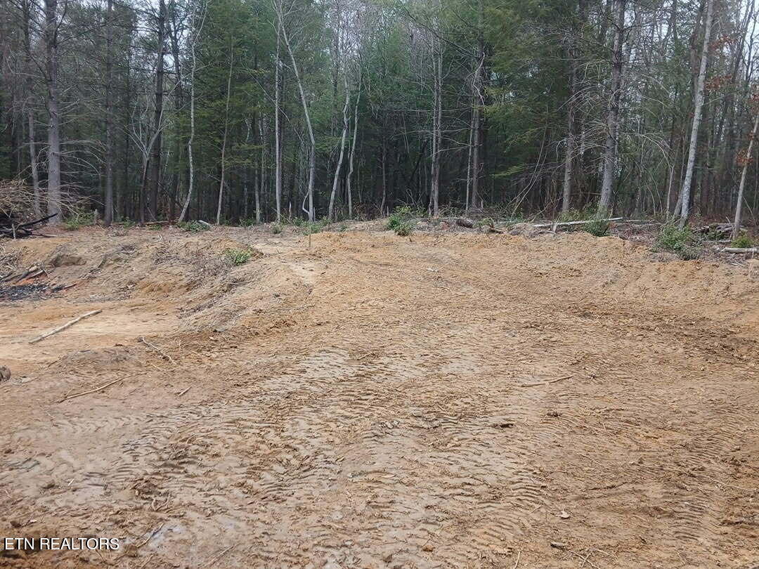 Magnolia Court Jamestown, TN 38556 - Photo 4 of 27 b8f4a39c-c68b-4d9a-bb7b-694688b0b61b