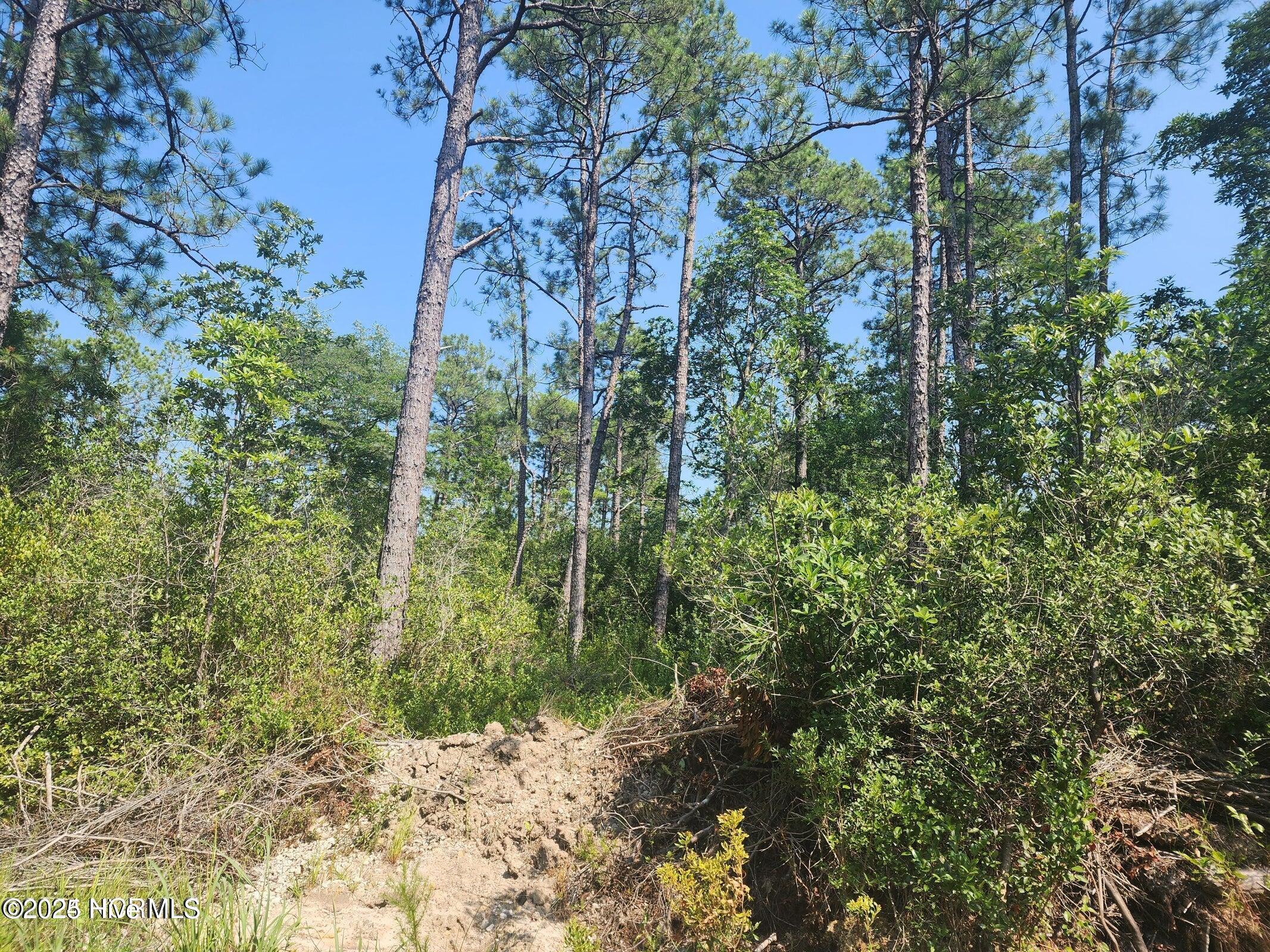 1550 Robin Road Boiling Spring Lakes, NC 28461 - Photo 2 of 6 20240717174650053463000000-o