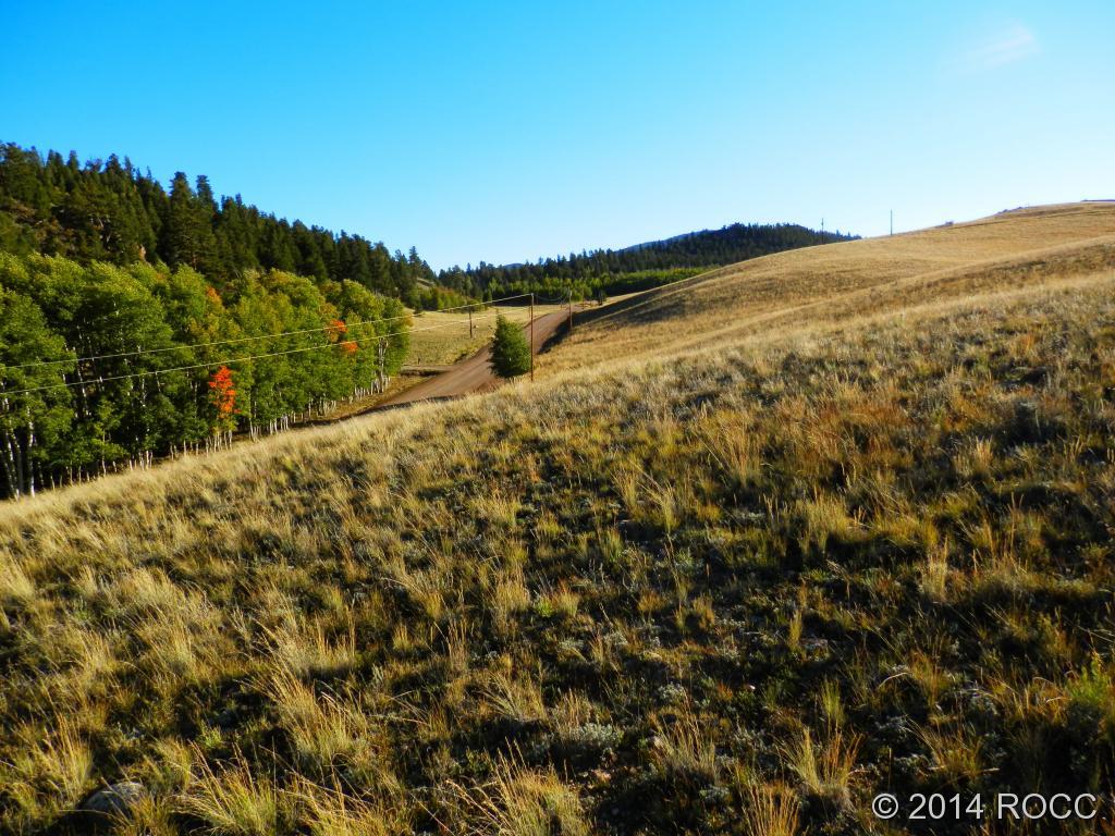 4039 Ranch Road Hartsel, CO 80449 - Photo 5 of 7 Gallery Image 5