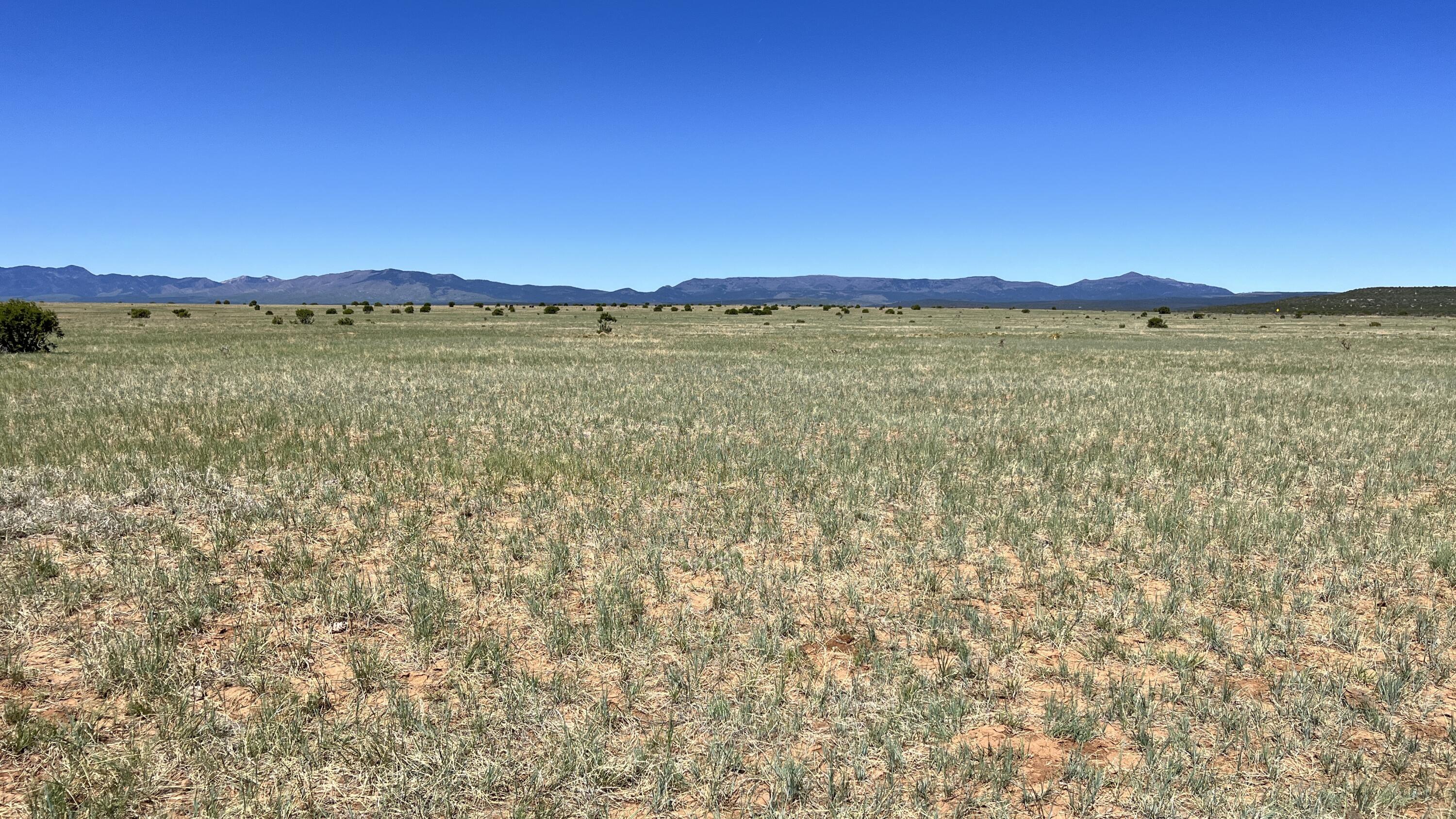 I-25 Frontage Road Lemitar, NM 87823 - Photo 10 of 32 Gallery Image 10