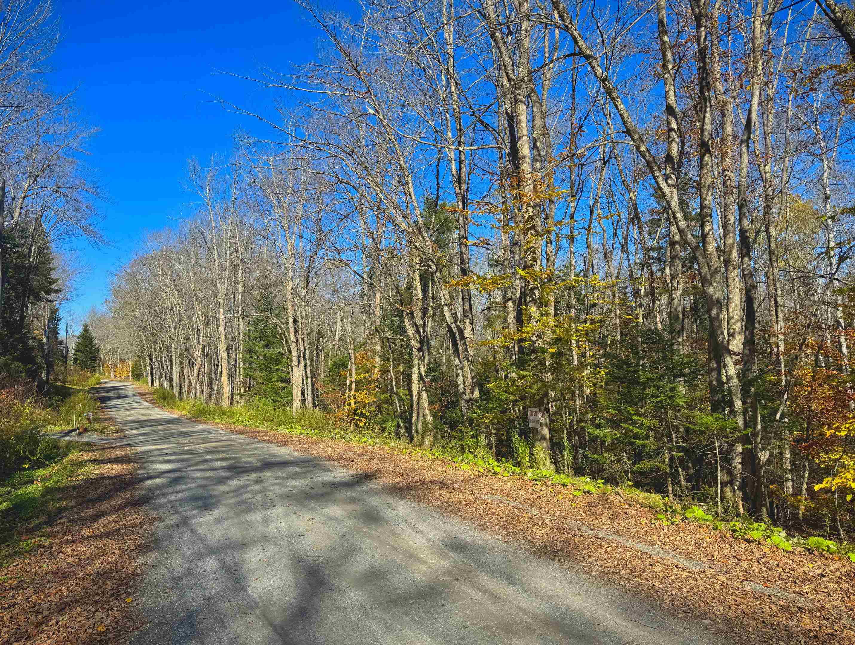 Lebensdorf Lane Readsboro, VT 05350 - Photo 6 of 9