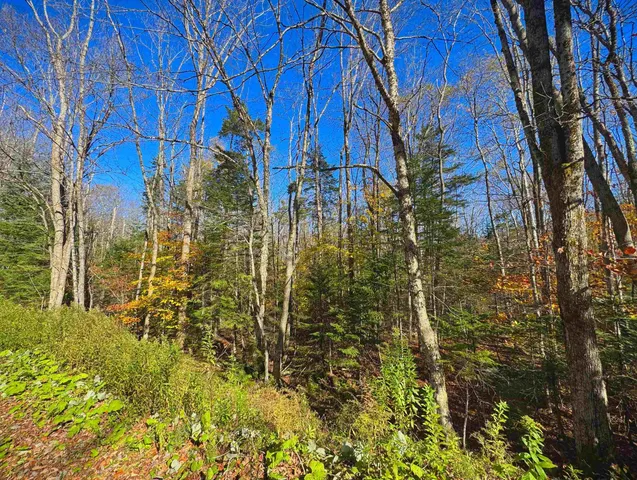 $19,999 | Lebensdorf Lane, Readsboro, VT 05350