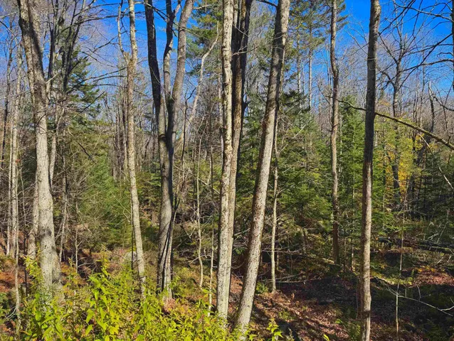 $19,999 | Lebensdorf Lane, Readsboro, VT 05350