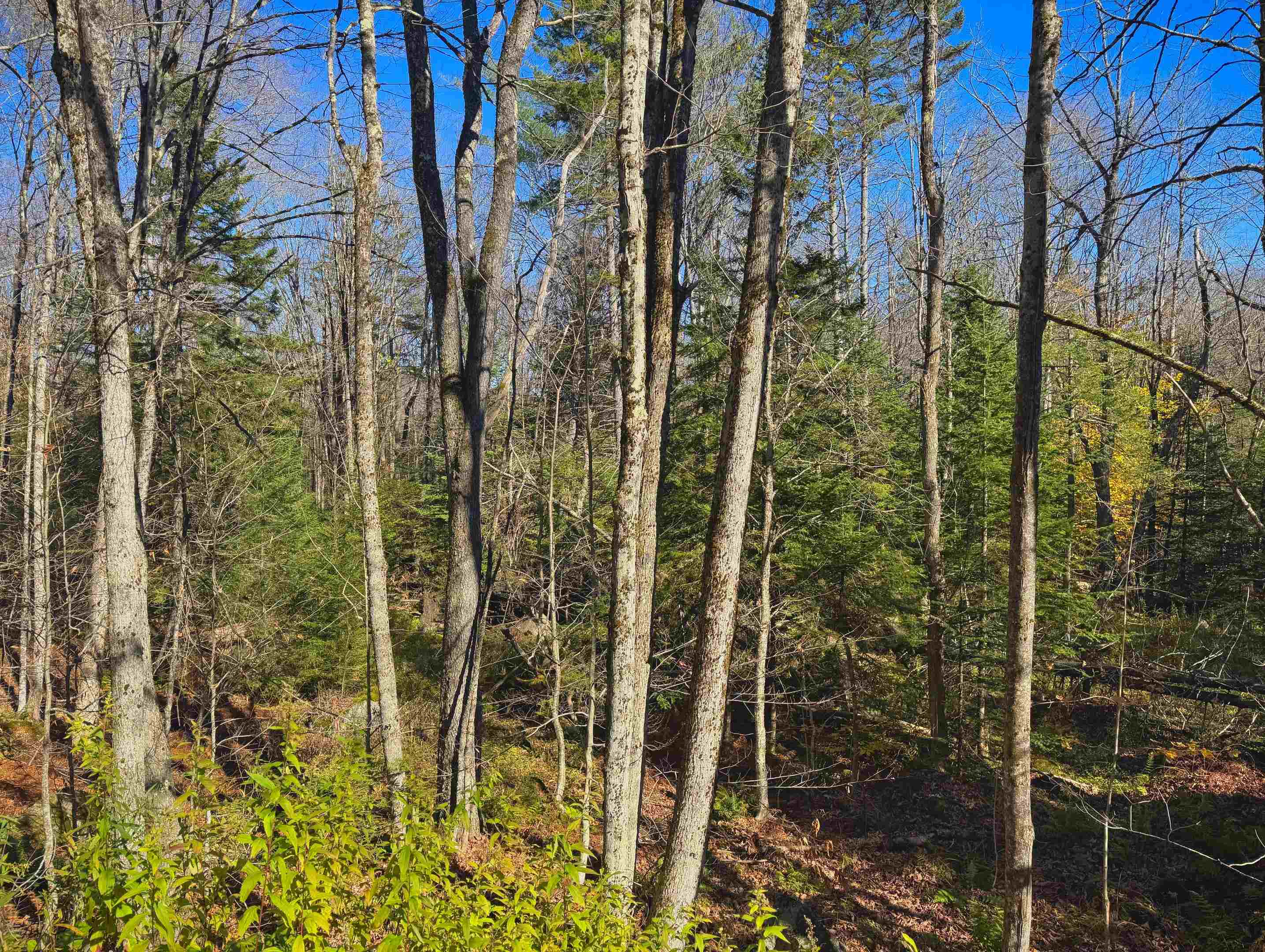 Lebensdorf Lane Readsboro, VT 05350 - Photo 8 of 9