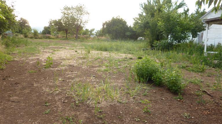 1502 Thomas Road Medford, OR 97501 - Photo 7 of 13 STRUCTURES ARE OF LITTLE OR NO VALUE