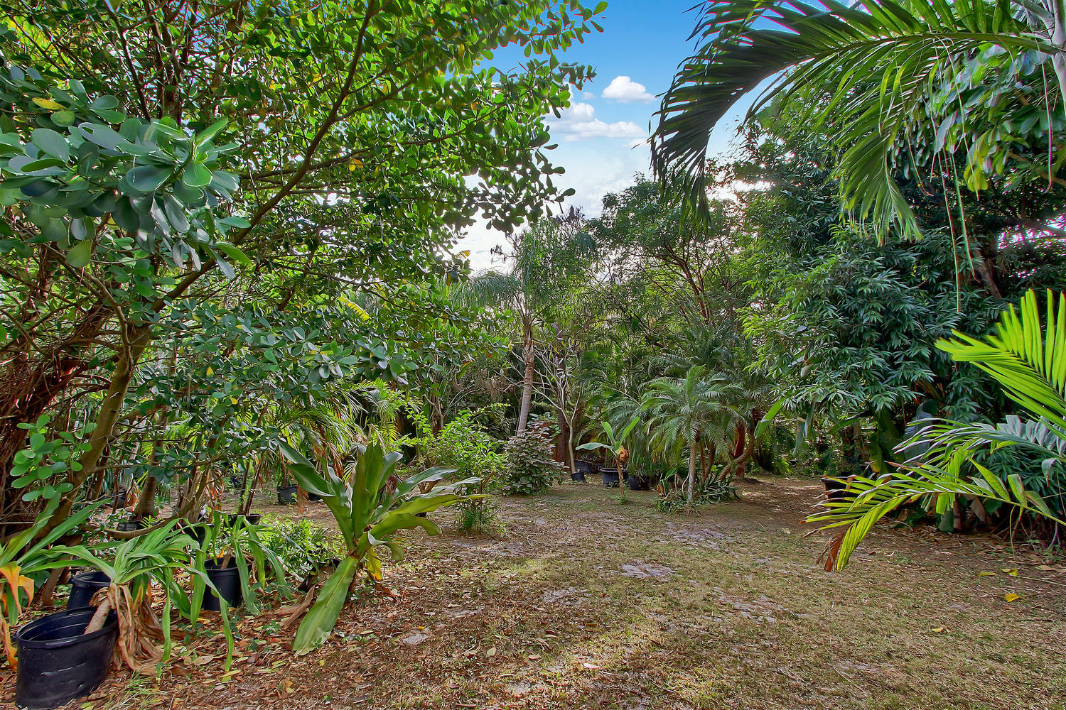 5647 Sims Road Delray Beach, FL 33484 - Photo 33 of 33 Back Exterior