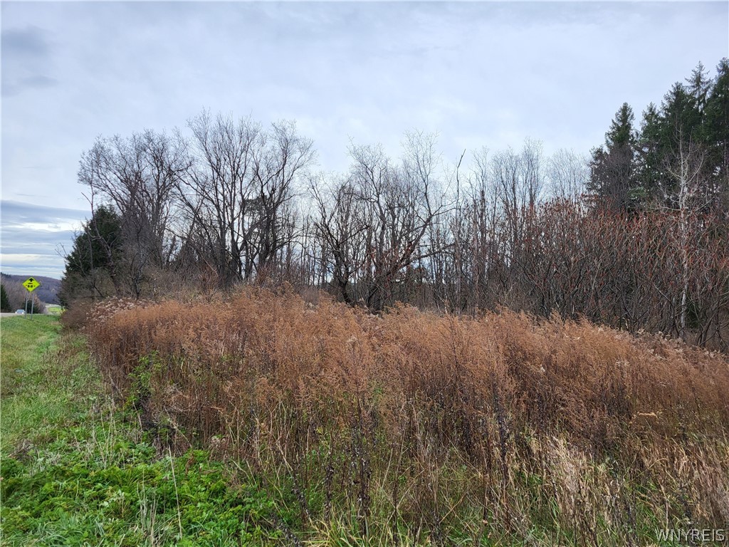 219 Us Route West Valley, NY 14171 - Photo 2 of 4