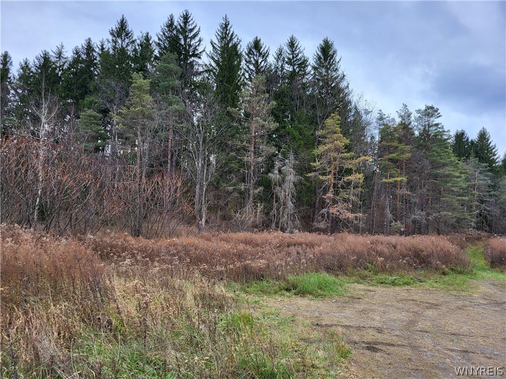 219 Us Route West Valley, NY 14171 - Photo 4 of 4