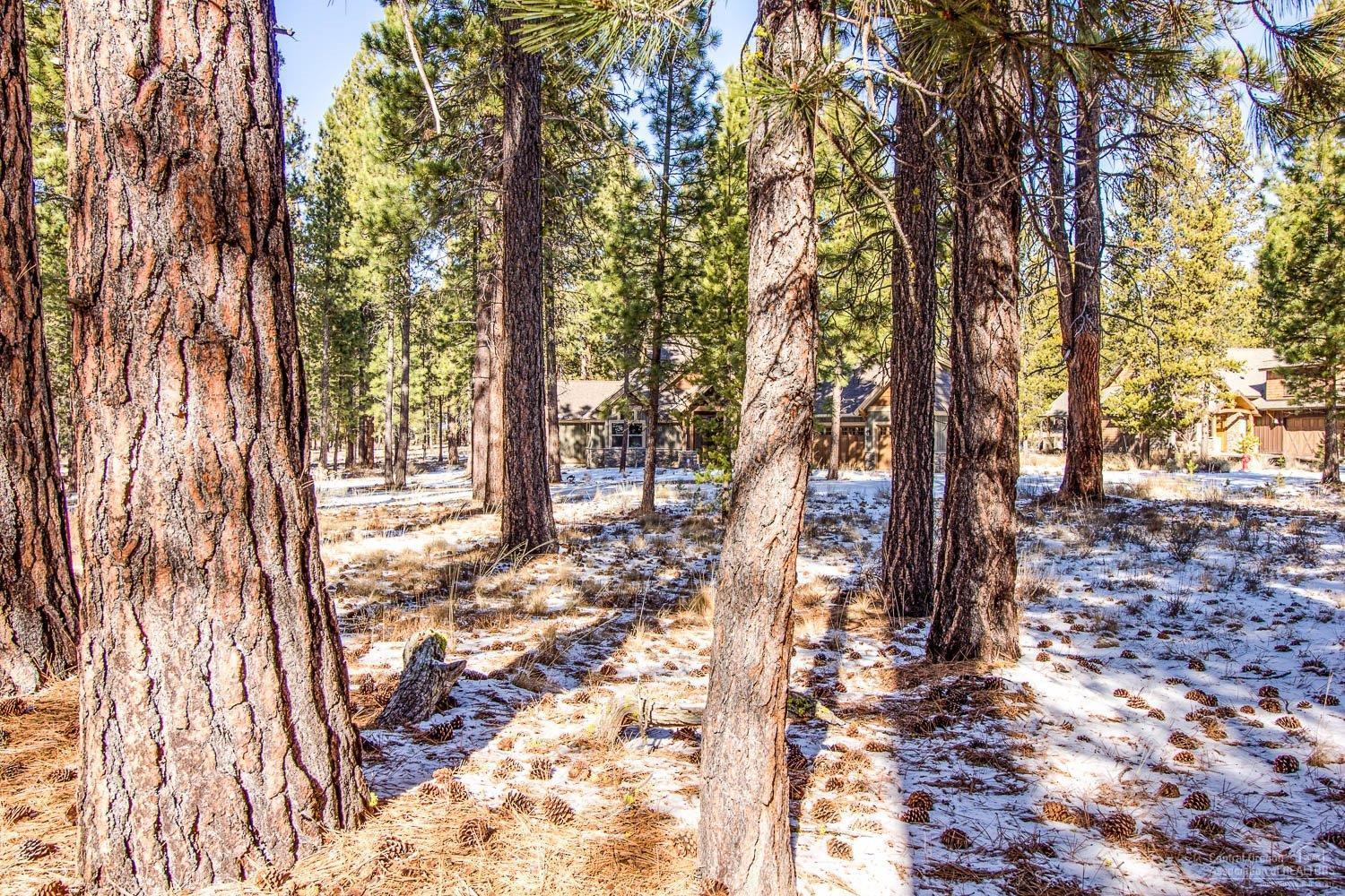 56154 Sable Rock Loop Bend, OR 97707 - Photo 6 of 12 Additional Photo