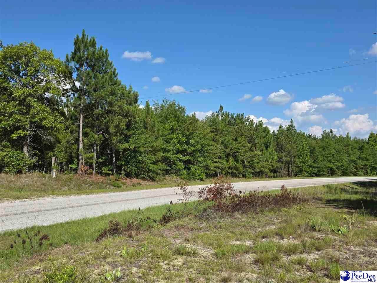 0 Black Creek Road Mount Croghan, SC 29727 - Photo 1 of 16 Gallery Image 1