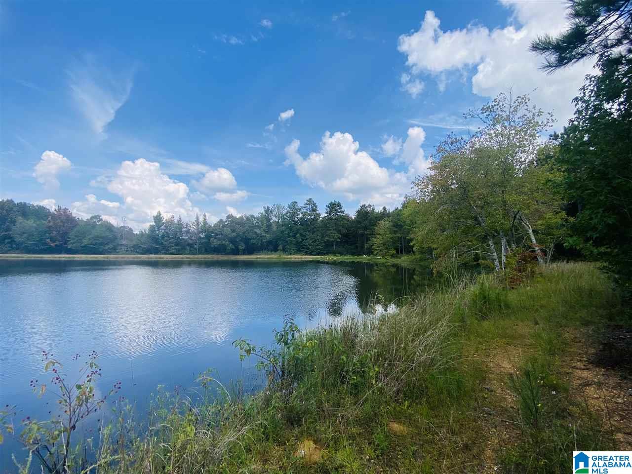 2560 Joe Lee Road, Unit 1 Talladega, AL 35160 - Photo 11 of 35
